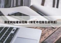 保定网站建设招商（保定市招商引资项目）